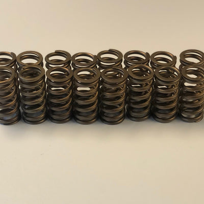Ferrea Valve Spring Kit