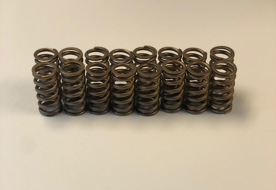 Ferrea Valve Spring Kit
